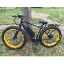 Hot Selling MID Drive Motor Electric Bicycle with Fat Tire